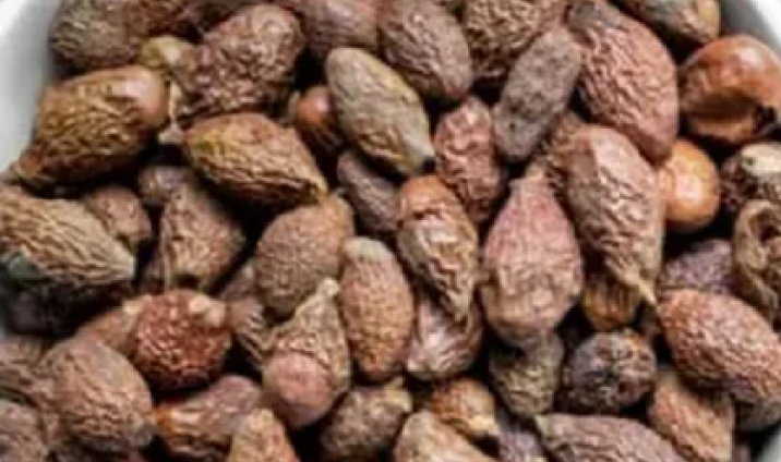 Malva nut 3