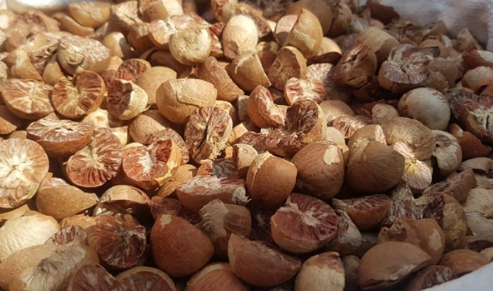 Betel nut 1