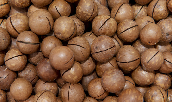 Betel nut 3