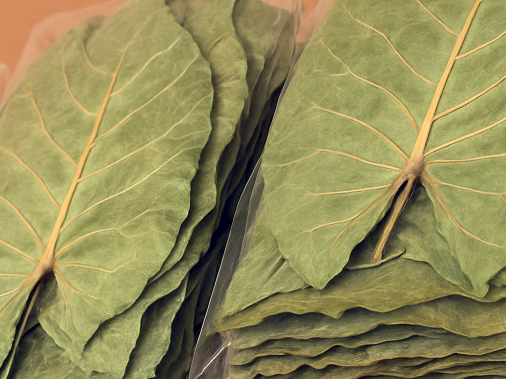 Taroleaf_3