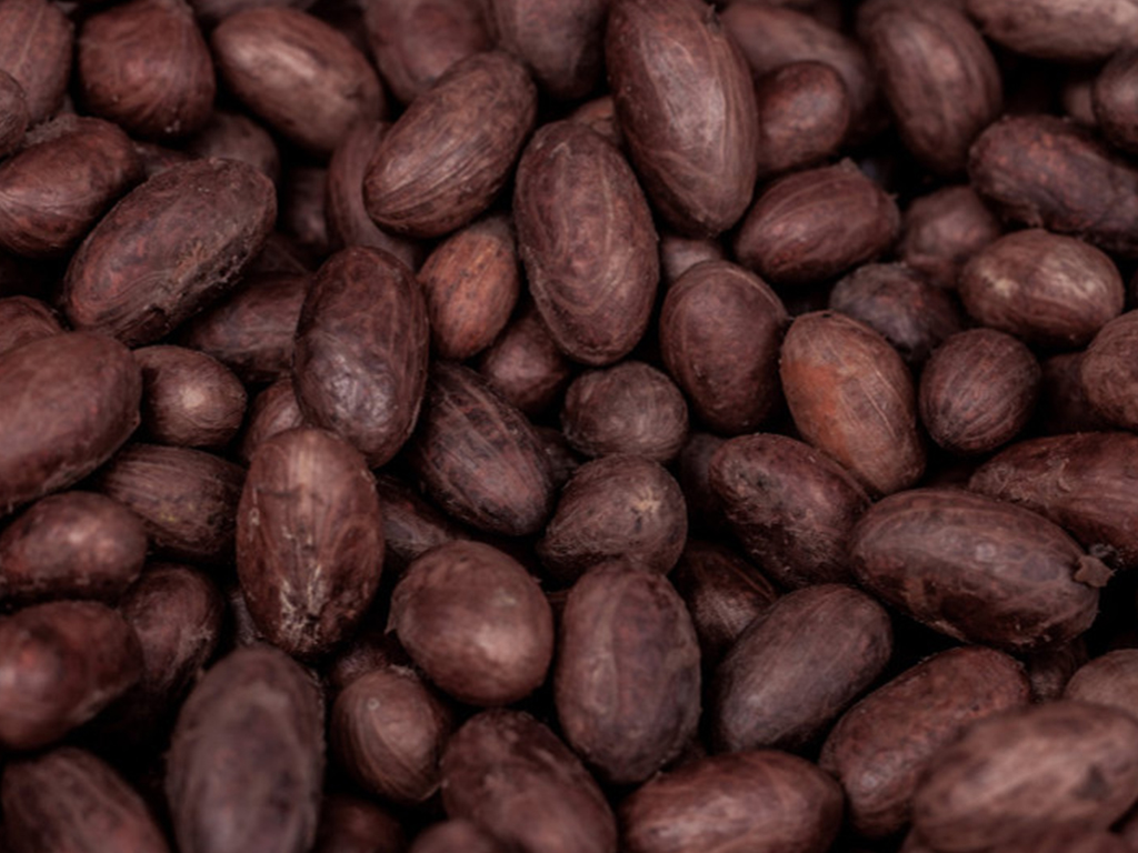 cocoa_1